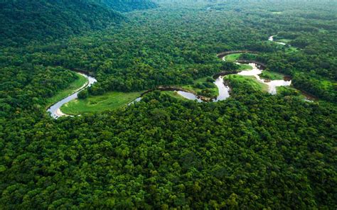 The Amazon Rainforest Is The Worlds Largest Tropical Rainforest ... - muktibox.com