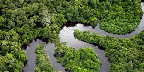 The Amazon Swallowed A Colony Centuries Ago. - balustradellc