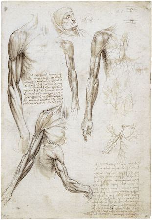 The Anatomy of Renaissance Art - Smithsonian Magazine - wintechmobiles.com
