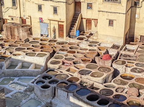 The ancient art of leather production - SATRA - wintechmobiles.com