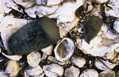 The Archaeology of Food: An Encyclopedia Middens and other trash ... - wintechmobiles.com