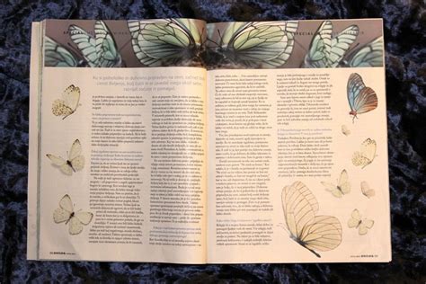 The Art Of Dying: An Interview With Somananda - balustradellc