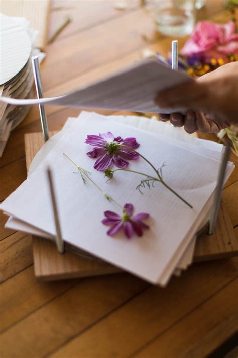 The art of flower pressing - muktibox.com