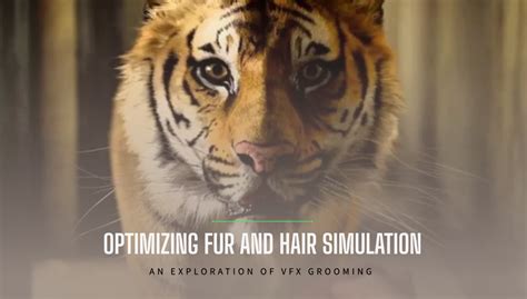 The Art of Hair Simulation in VFX - muktibox.com
