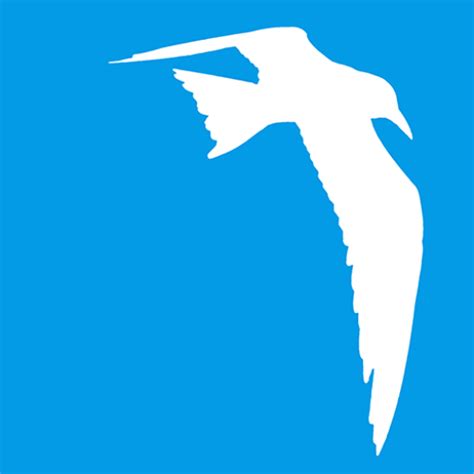 The Art of Interior Design: Crafting the Perfect Art Gallery - muktibox.com