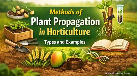 The Art of Plant Propagation: Exploring the Power of … - raincitystudios.com