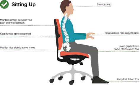 The Art of Posture and Sitting: A Guide to Sitting … - balustradellc