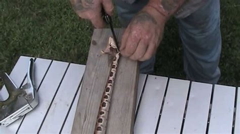 The Art of Snake Preparation: Skinning and Cooking Your Catch - balustradellc
