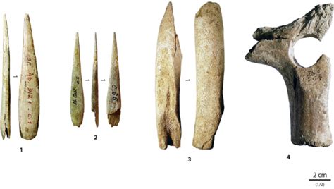 the Aurignacian Tradition - wintechmobiles.com