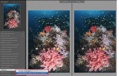 The Basics of Editing Underwater Photos in Adobe … - raincitystudios.com