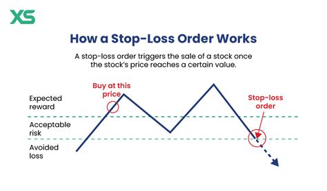 The Basics of Placing a Stop-Loss Order for Traders - balustradellc