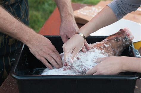 The Basics of Preserving and Salting Meat - Mother … - wintechmobiles.com