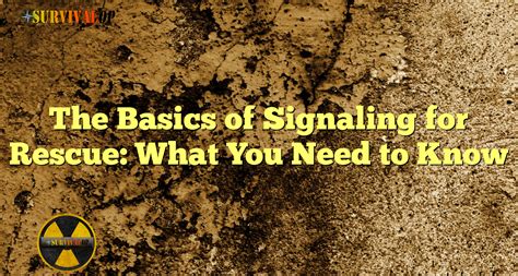 The Basics of Signaling for Rescue: What You Need to … - balustradellc