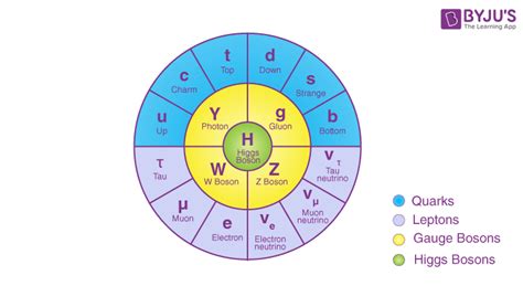 The basics of the Higgs boson - CERN - wintechmobiles.com