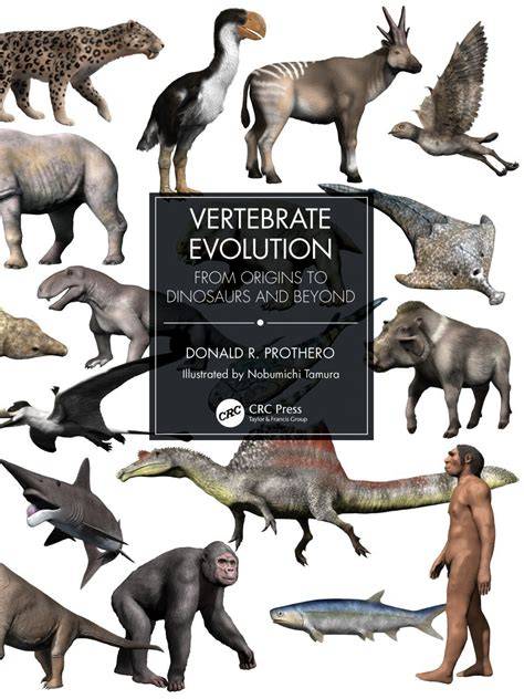 The Basics of Vertebrate Evolution - ThoughtCo - raincitystudios.com