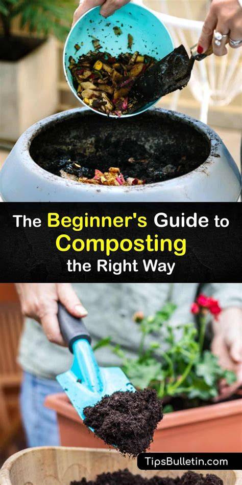The Beginner's Guide to Composting - raincitystudios.com