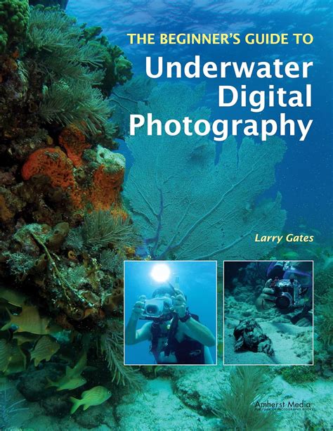 The Beginner's Guide to Underwater Digital Photography - raincitystudios.com