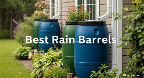 The Beginner’s Guide to Rain Barrels - Rain Harvesting - raincitystudios.com