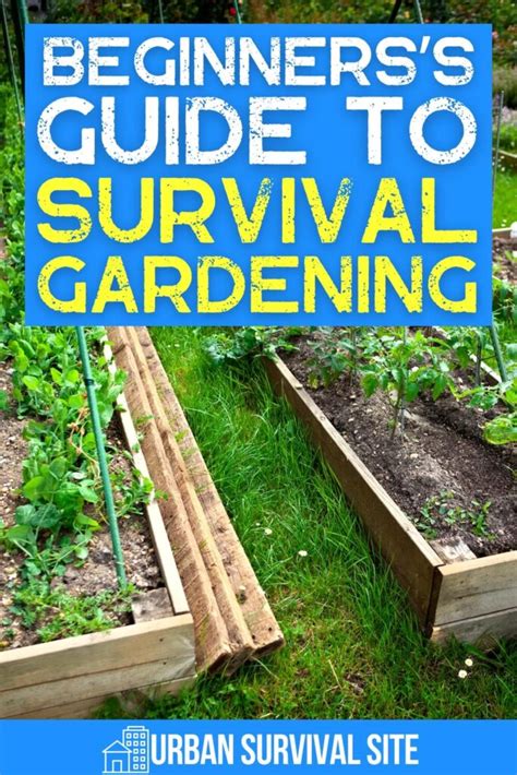 The Beginner’s Guide to Survival Gardening - balustradellc