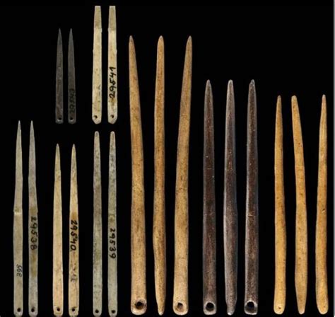 The beginnings of fashion: Paleolithic eyed needles and the evolution ... - wintechmobiles.com
