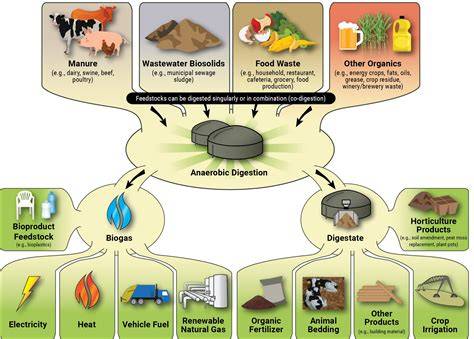 The Benefits of Anaerobic Digestion of Food Waste At Wastewater ... - raincitystudios.com