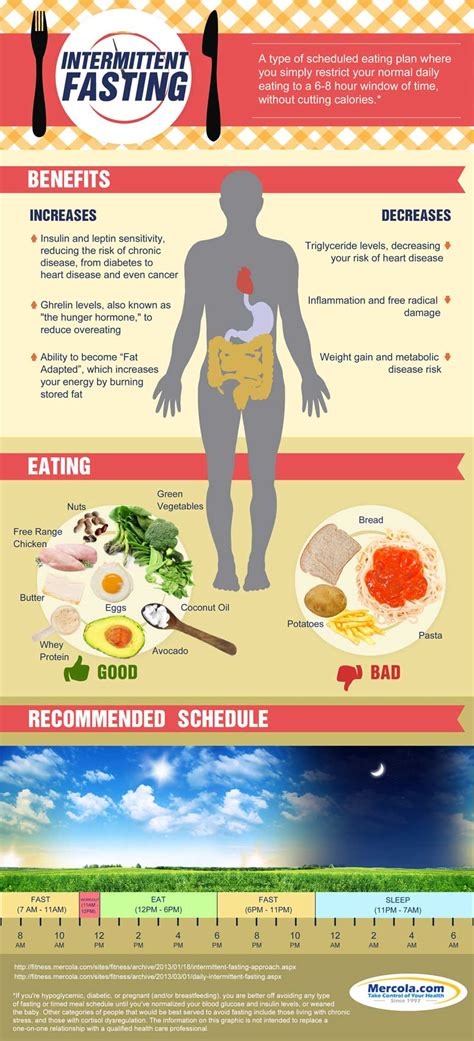 The Benefits of Intermittent Fasting for Men's Health - balustradellc