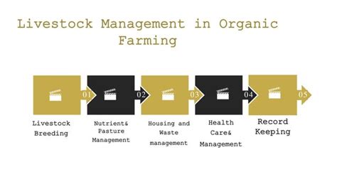 The Benefits of Livestock Integration for Organic Vegetable Production - balustradellc