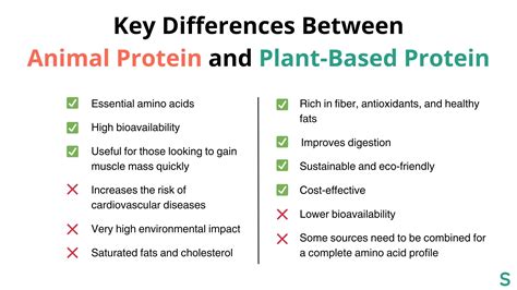 The Benefits of Plant-Based Protein: Why It's a Smart Choice for Your ... - balustradellc