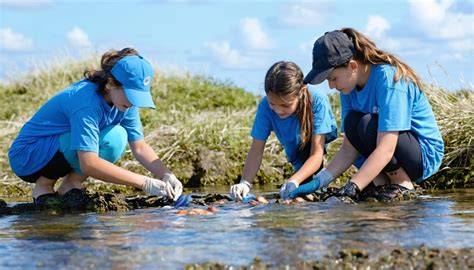 The benefits of supporting marine education programs - raincitystudios.com