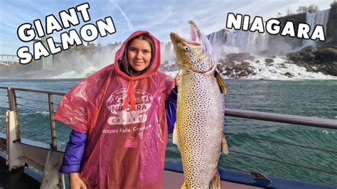 THE BEST 10 Fishing in Niagara Falls, NY - Yelp