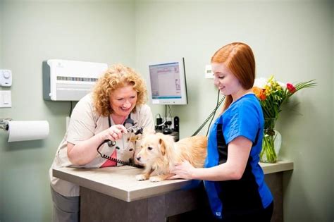 THE BEST 10 Veterinarians in Moncton, NB - Yelp