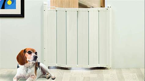 The best 6 stair gates for baby-proofing your home - balustradellc