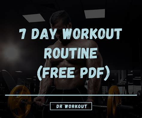 The Best 7 Day Gym Workout Plan with Free PDF - balustradellc