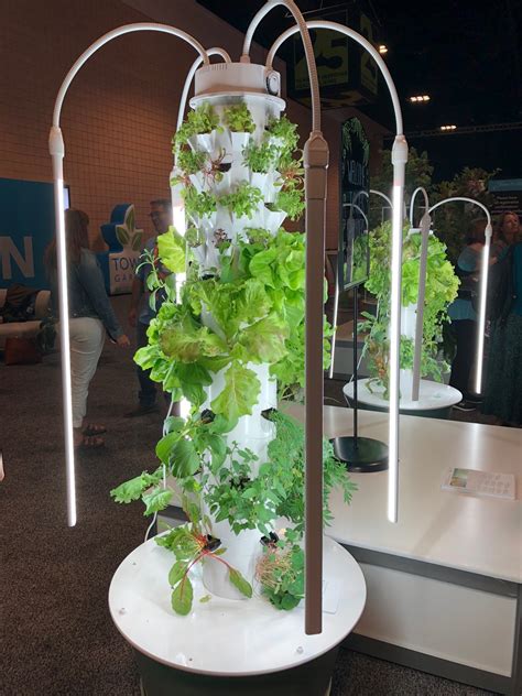 The Best Aeroponics Tower Garden Systems For Home - raincitystudios.com