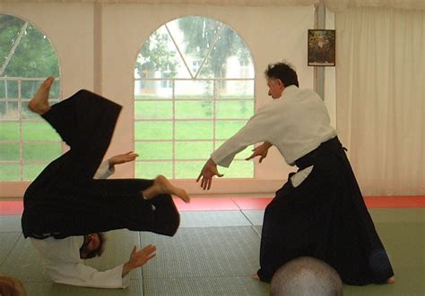 The Best Aikido Techniques for Everyday Protection - balustradellc