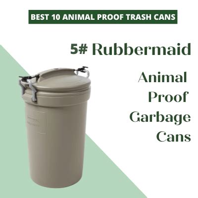 The best animal-proof outdoor garbage cans you can buy - balustradellc
