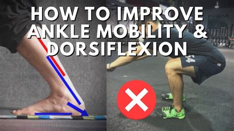 The Best Ankle Dorsiflexion Mobility Exercises - The … - balustradellc