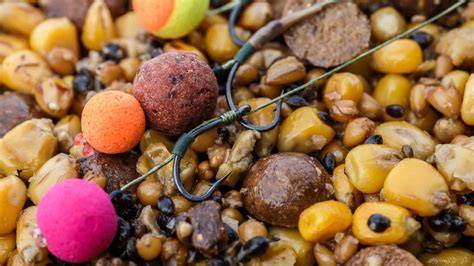 The best baits for carp fishing - Angling Times - raincitystudios.com