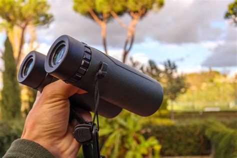 The Best Binoculars for Birding: A Buyers Guide - Wild … - balustradellc