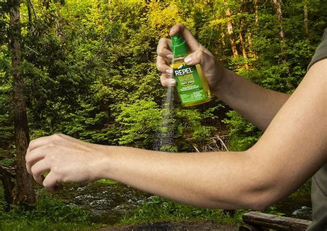 The Best Bug Repellents You Should Use While Camping - balustradellc