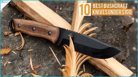 The Best Bushcraft Knife Under $100 [2026] - Knives … - balustradellc