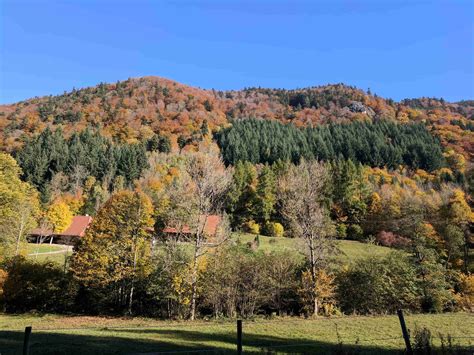 The best campgrounds in Black Forest, Germany - balustradellc