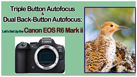 The BEST Canon R6 Mark ii AutoFocus Settings For Video (2025) - balustradellc