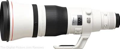 The Best Canon Wildlife DSLR Lens for 2026 - balustradellc