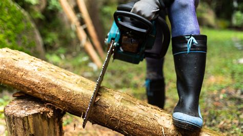The Best Chainsaws | Lab Tested & Ranked - GearLab - balustradellc