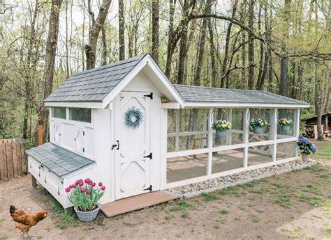 The Best Chicken Coop and Accessories of 2026 | Reviews by Wirecutter - raincitystudios.com