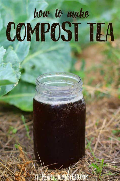 The Best Compost Tea Recipe - Eartheasy - raincitystudios.com