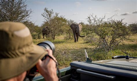 The best destinations for wildlife photography in Africa - balustradellc