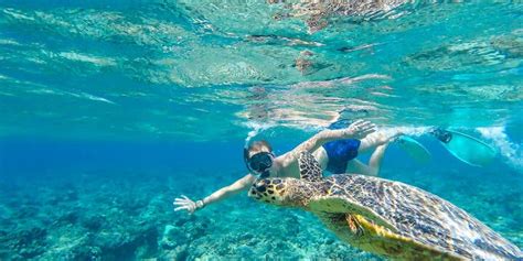 The Best Dive and Snorkel Destinations in Indonesia - balustradellc