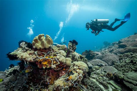 The Best Diving Spots In Indonesia - Time Out - balustradellc